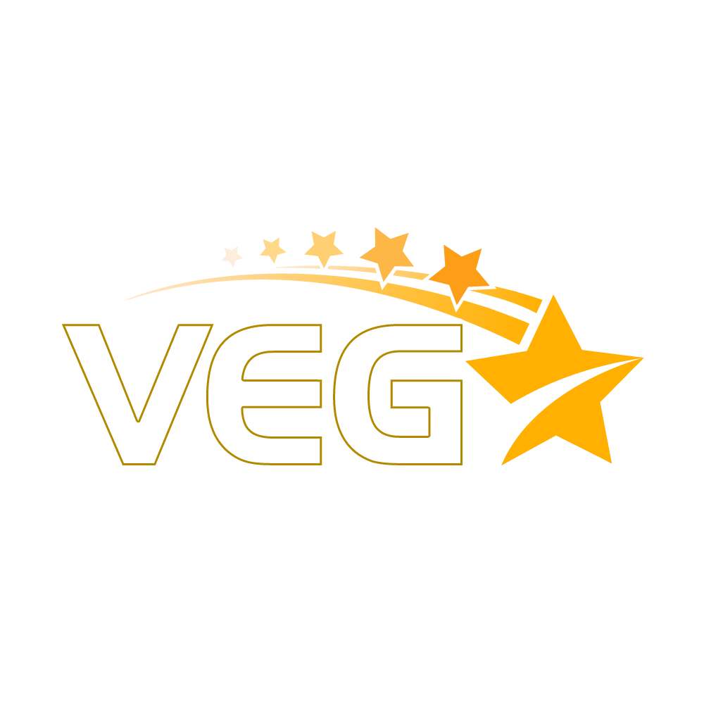 Vega Studio